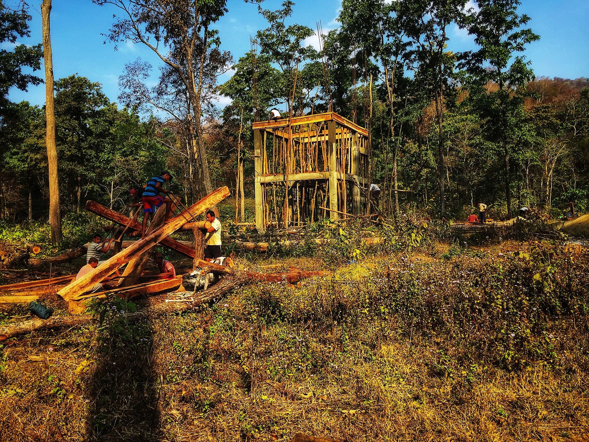 Banke National Park — Banke