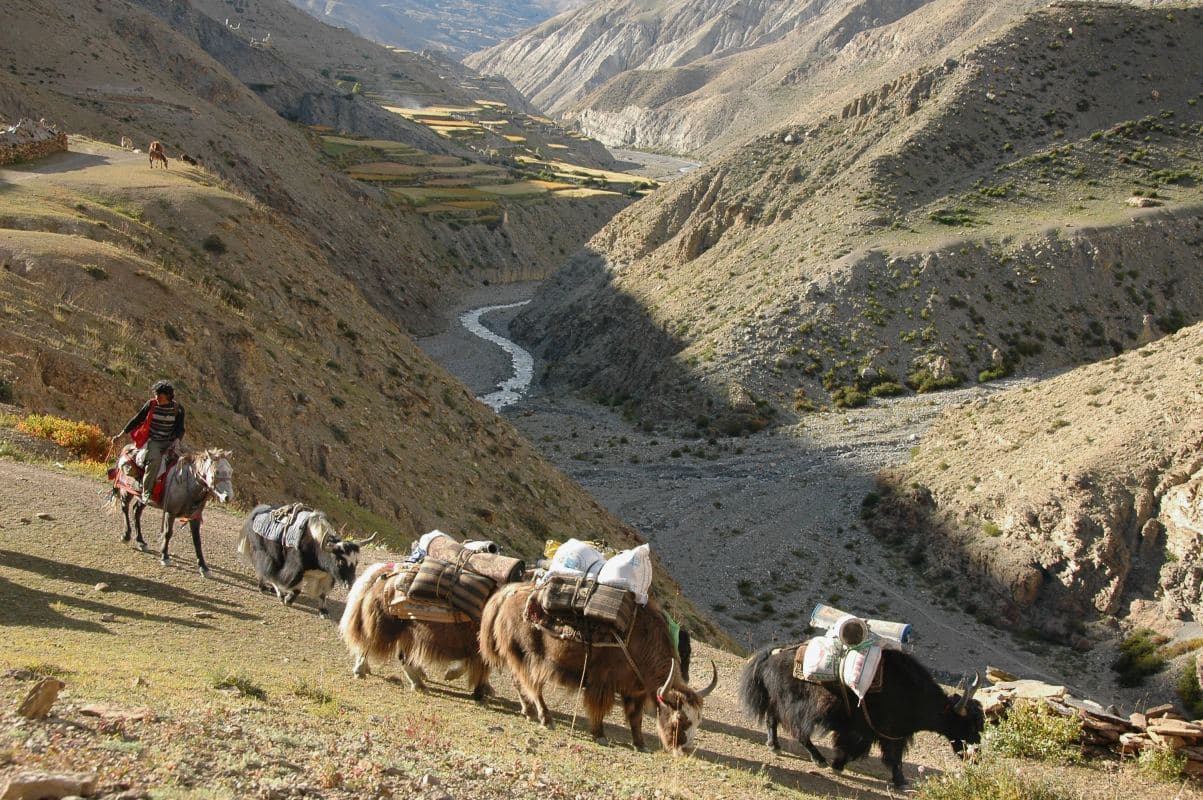 Chhayanath National Park — Chhayanath